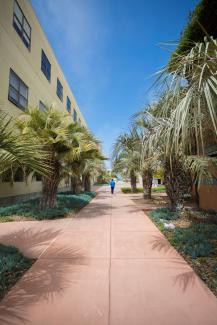 UCSB UCSB